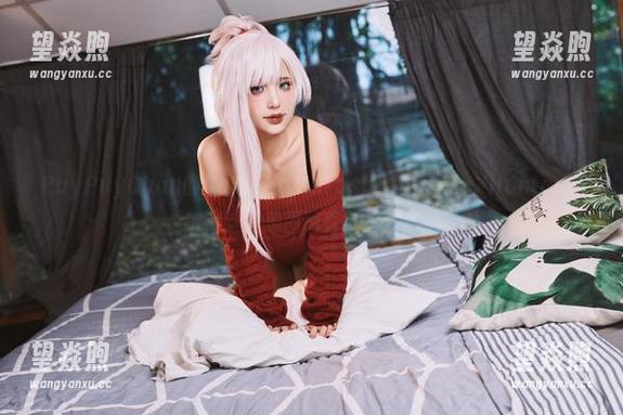 PuyPuyChan的ShizukuMurasakiHunterXHunter壁纸：这些美图简直就是艺术！