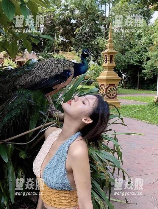 微密圈 - 就是阿朱啊白衬衫大揭秘：私房随拍合集，直击心灵！