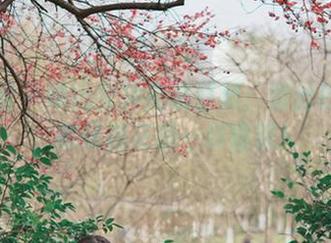 微密圈 – 辣妈女神高清壁纸：蕾丝的温柔，就像棉花糖一样甜蜜！